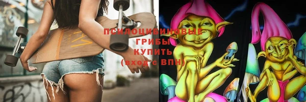 прущие крисы Инта
