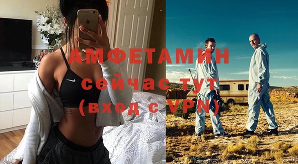 ECSTASY Инсар