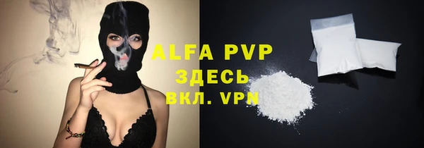 ECSTASY Инсар