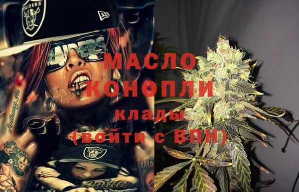 ECSTASY Инсар