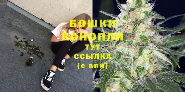ECSTASY Инсар