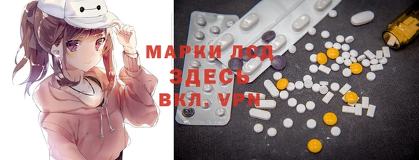 ECSTASY Инсар