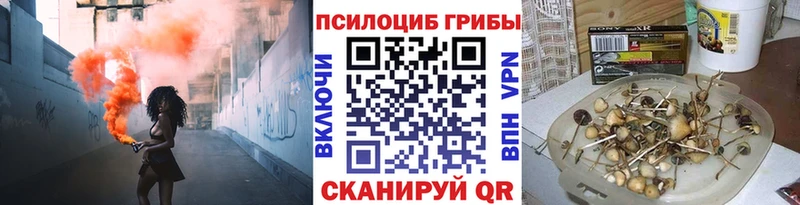 Купить  Заринск  Псилоцибиновые грибы Cubensis 